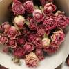 Rosa de flor seca de Yunnan rosa de cabeza múltiple rosa burbuja ramo de flor seca muebles de sala de estar accesorios de fotografía multicolor flores reales al por mayor