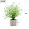 Set de Ollas Cilíndricas con Planta de Hierba Campanilla para Escritorio, Adorno de Planta Verde Artificial, Flor Artificial, Bonsái Pequeño - Amazon al por Mayor en Stock