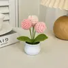 Plantas de tulipanes tejidas a mano en maceta, decoraciones para el hogar, flores artificiales tejidas, ramos de ganchillo de lana, regalos para el comercio transfronterizo