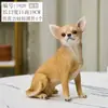 Modelo de cachorro Chihuahua molde de cachorro de estimação adereço de fotografia roupas de cachorro ornamento de chão cachorro veado filhote de cachorro adereço