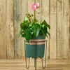 Estante de Flores de una Sola Capa Estilo Europeo Transfronterizo Estante para Macetas de Plantas Estante Metálico Simple Estante para Decoración de Interiores de Balcón