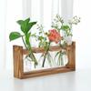 Arreglo Floral Hidropónico de Escritorio con Marco de Madera Transfronterizo, Plantas Verdes Cultivadas en Agua, Jarrón, Contenedor de Vidrio para Colgar en la Pared, Pieza Decorativa