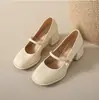 Sapatos Mary Jane de celebridade da internet femininos 2025 verão nova moda Joker doce fivela quadrada retrô salto grosso sapatos atacado