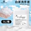 Gel Antibacterial Espumoso Aroma Té Blanco, Sin Enjuague, Líquido de Recarga Especial para Hoteles Cinco Estrellas, Casas de Huéspedes y Alojamientos tipo Airbnb, para Limpieza del Hogar
