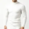 Comercio Exterior AliExpress Suéter de Punto Trenzado de Cuello Alto para Hombre Europeo y Americano, Talla Grande Moda Casual Suéter Pulóver para Hombre