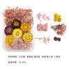 Transfronterizo Especialmente Diseñado para Materiales DIY de Flores Secas, Marcos de Fotos Hechos a Mano, Adornos para Abanicos, Flores de Aromaterapia, Flores Preservadas, Paquete de Materiales de Flores Secas