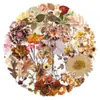 50 Pegatinas Transparentes de Plantas Secas, Pegatinas Decorativas Impermeables de Flores Secas Hechas a Mano Estilo Bosque Vintage para Mascotas