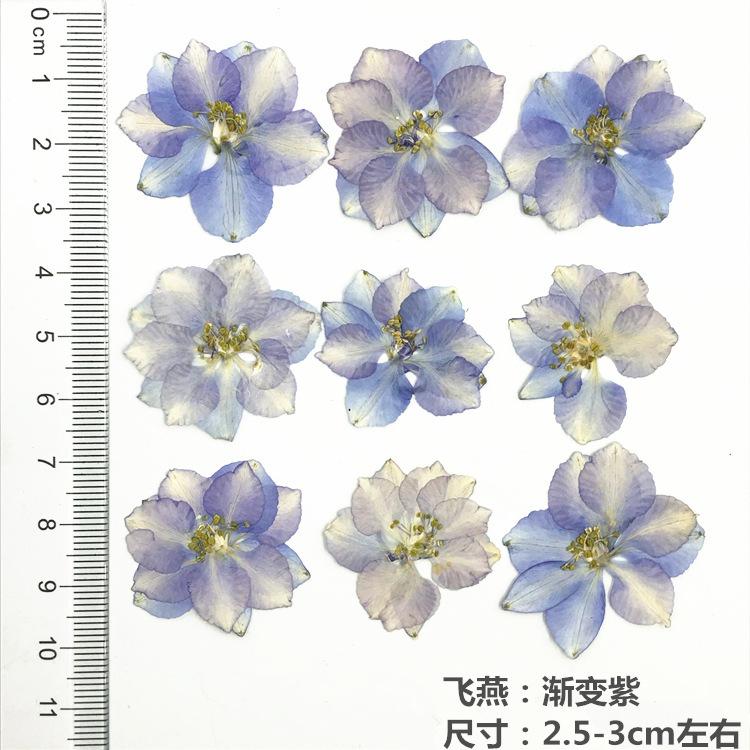 QQ图片20181129111828