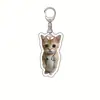 Gato Plátano Gato Feliz Llavero Acrílico Gato Comida Paquete de Expresiones de Cabeza de Gato Llavero Divertido