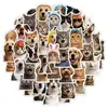 Set transfronterizo de 50 piezas de pegatinas de garabatos con expresiones de gato y perro, pegatinas decorativas impermeables para computadoras, pegatinas creativas para tazas de agua al por mayor