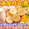 Tabletas de Fragancia de Osmanthus para Habitaciones para Eliminar el Olor a Orina y Otros Olores en Dormitorios Interiores, Ambientadores para Zapateros y Desodorantes para Armarios