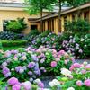 Sementes de Camomila, Sementes de Margarida, Flores para Jardim de Varanda ao Ar Livre, Sementes de Flores para Todas as Estações, Sementes de Margarida do Campo