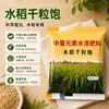 Peso de Mil Granos de Arroz Calidad de Siembra de Arroz Mejora Aumento de Rendimiento Hinchazón Plenitud Promover Crecimiento Desarrollo Fertilizante Foliar Soluble en Agua