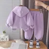 Conjunto de Ropa de Invierno de Moda para Niños, Ropa Casual de Otoño, Atuendos de Moda para Bebés y Niños Pequeños, Conjunto de Dos Piezas, Venta al por Mayor desde el Fabricante