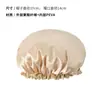 Gorro de Ducha Impermeable de Doble Capa para Adultos, Cubre Pelo Largo para Baño, Cubierta para Cabezal de Ducha, Gorro, Cubre Pelo, Gorro para Cabello Anti-Grasa de Cocina