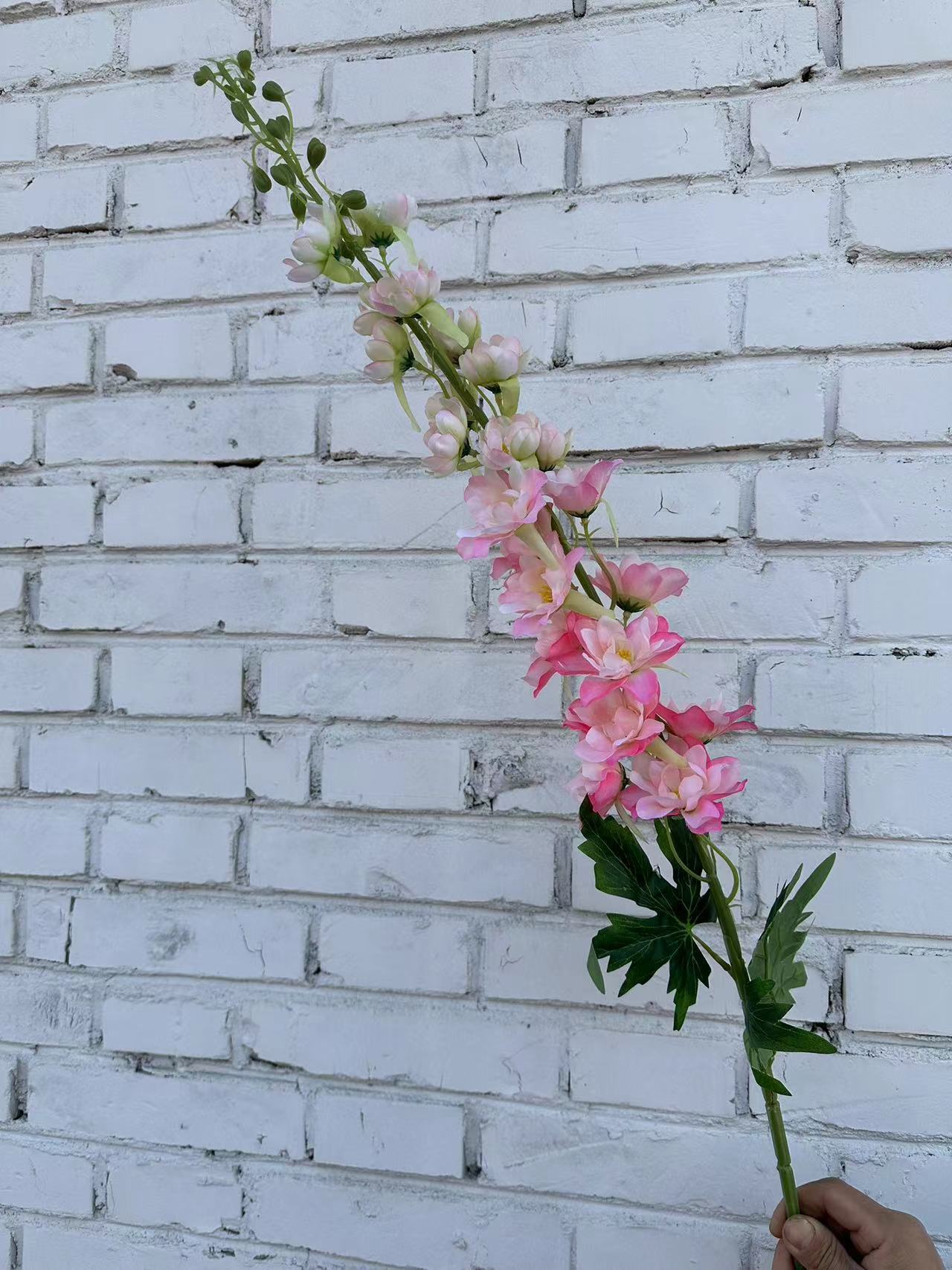 大飞燕粉色1