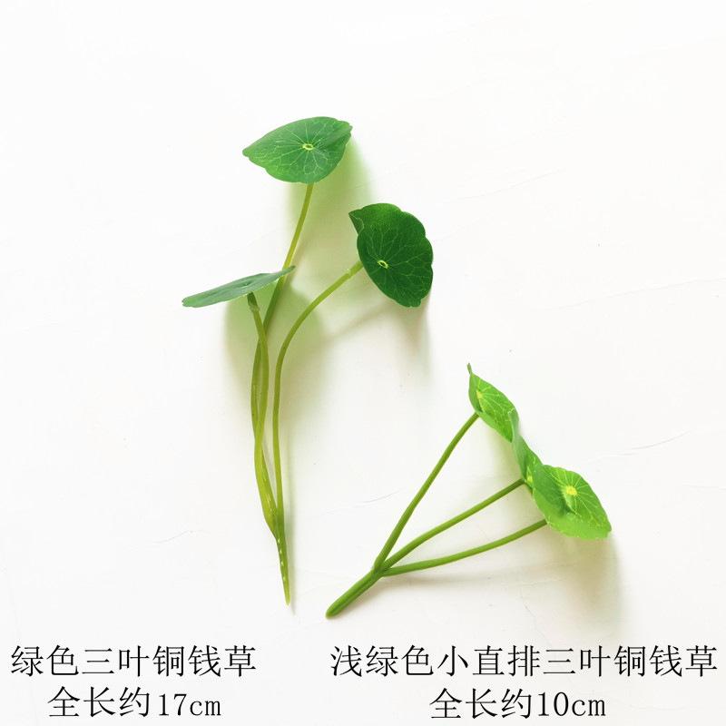 5_副本.jpg
