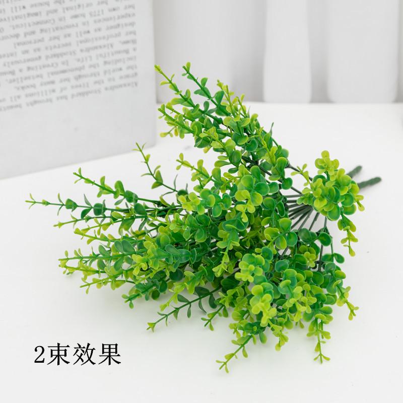 _X8A7454_副本