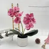 Bonsái Phalaenopsis de Doble Lóbulo Flor 9 Rosquilla Decoración Fotografía de Boda Maceta Arreglo de Patio Exterior Maceta de Flores Artificiales