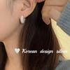 Corea del Sur 2024 Nuevos Pendientes de Alta Gama de Nicho Plata de Ley S925 Edición Amplia Pendientes Brillantes de Plata con Volantes Hebilla de Oreja para Mujer