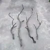 Ramas secas, ramas muertas, arte, ramas marchitas, madera muerta, troncos de árboles, pelados naturalmente, color natural, artículos decorativos, (forma/estilo), percheros, decoraciones, más toccones de árbol