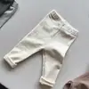Leggings Lisos para Niñas 26 Otoño Nuevo Estilo Elásticos Exteriores Largos Estilo Coreano Elegantes Versátiles Múltiples Colores