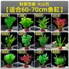 Plantas de Acuario, Decoraciones de Paisajismo con Césped Real, Plantas Aptas para Principiantes, Crisantemo Verde Ciempiés, Plantas de Sombra, Piedra Volcánica, Plantas Verdes Purificadoras de Agua