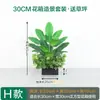 Kit de Paisaje Mixto de Planta de Plátano Artificial, Flora de Partición