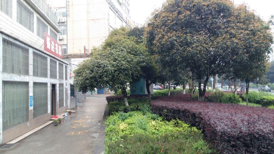 2086134291_961075871