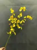 Simulação de toque Filme Orquídea Dançante PU Amarelo Orquídea Dançante Decoração de Mesa Floricultura Moderna Simples Fresca Orquídea Dançante