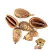 Materiais de Casca de Fruta Preta Indonésia e Tília a Granel, Sino de Vento e Acessórios de Sino de Casca de Fruta Curativa Feitos à Mão Pura Atacado