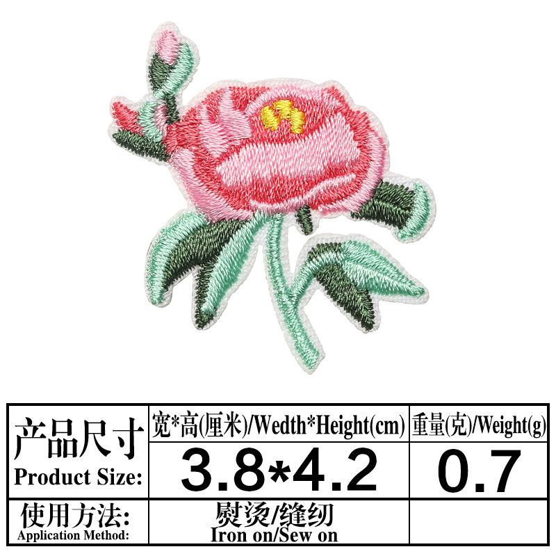 01.jpg
