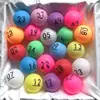 Máquina de Loteria de Propriedade, Seletor de Bolas de Duas Cores, Máquina de Loteria, Caixa de Loteria, Máquina de Loteria, Máquina de Loteria Manual