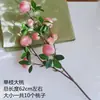 Flores de Pessegueiro Artificiais Flores Artificiais Decoração de Frutas para Casa Arranjo Floral de Mesa Haste Única Fresco e Elegante Estilo Antigo Adereços de Fotografia