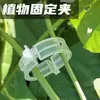 Clip Fijo de Plástico Transfronterizo, Clip para Enredaderas, Hebilla Fija, Clip para Plantas Verdes, Soporte para Plantas Trepadoras, Clip para Dar Forma a Enredaderas