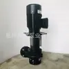 Bomba de Circulación de Proceso Minamoto Ylx250-40 Vertical Equipo de Pintura a Juego Bomba de Aguas Residuales 1Hp