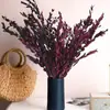 Ramo de flores secas, junco, flores preservadas, decoración de flores naturales de alta gama, arreglo floral estilo nórdico, productos de arte floral, superventas transfronterizo