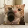 Almofada de Gato Idoso de Cabeça Redonda Hakimi Almofada de Gato Criativa Dupla Face Almofada de Sofá de Gato Meme Fabricante Original