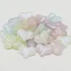 Cuentas de Acrílico Color Sólido Melocotón, Cuentas de Melocotón con Brillo Fino, Cuentas de Melocotón con Brillo de Sirena que Brillan en la Oscuridad Accesorios para Manualidades Cuentas