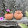 Mini Suculenta Pulgar Plántula Hoja Inserto Maceta de Cerámica Control de Raíces Lithops Siembra Maceta de Barro Rojo Fabricante