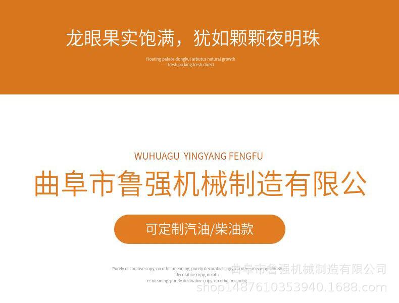 淘宝天猫黄色小清新风格龙眼水果详情页模板_10