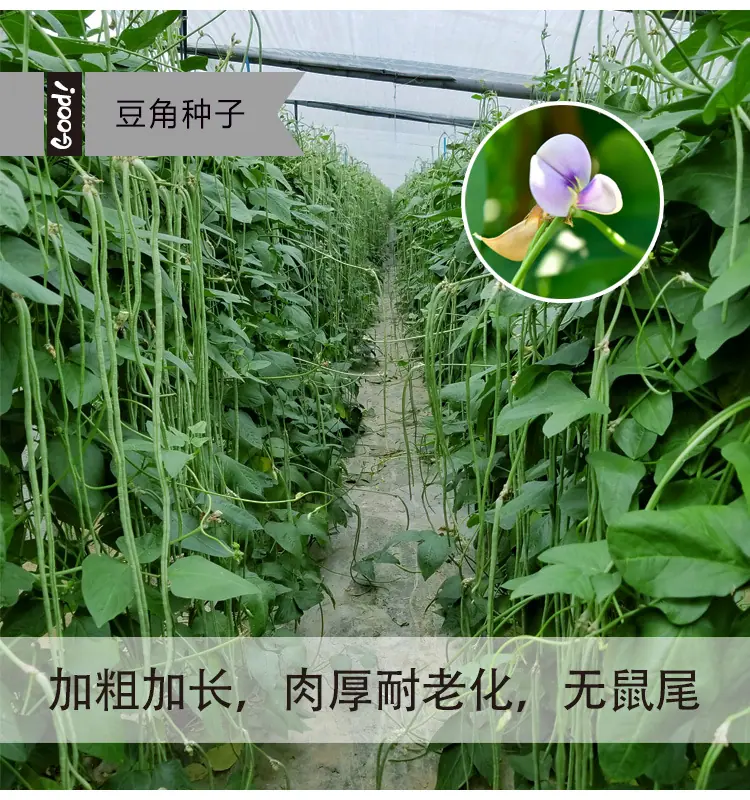 华骏三号03-2