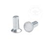 Material de Alumínio de Grau Industrial, Livre de Ferrugem, Cor Natural, Rebites de Percussão com Cabeça Escareada Gb869, Rebites Sólidos de Cabeça Chata 1.4-4