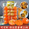 Jinqixiang 20 Gemas de Ovo Salgado Grandes Gemas de Ovo de Pato Salgado Fabricantes Podem Ser Personalizados e Oem
