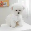 PETCIRCLE Ropa para Mascotas para Perros Pequeños y Cachorros, Linda Falda de Tul Multicapa para Mascotas, Vestido de Novia de Helado con Estrella Arcoíris