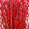 Flores Secas de Sauce Plateado, Flores Reales, Ramas Frescas, Florales de Nochevieja, Flores Secas de Sauce Plateado Rojo, Plantas Hidropónicas, Decoración de Interiores para Sala de Estar, Li Muling