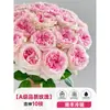 Flores Que Florescem por Muito Tempo e São Fáceis de Cultivar, Lírios, Sino dos Ventos, Flores de Corte Frescas, Plantas Hidropônicas de Cabelo Reto de Yunnan, Rosas, Arranjos de Flores de Interior