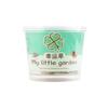 Plantando Pequenos Vasos Presente Gato Grama Sementes de Hortelã Desktop Planta Verde Mini Criativo Vaso Girassol Morango Plantio