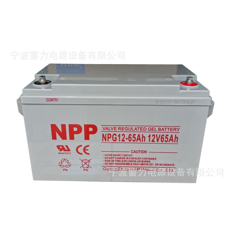 NPP12-65白底1