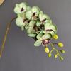 Mini orquídea Phalaenopsis de 8 cabezas con forma de mariposa, ideal para bodas, recuerdos, ropa y accesorios. Flores falsas.